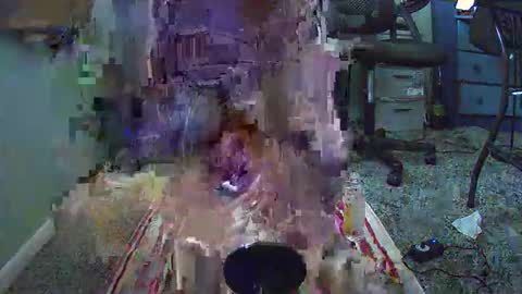 imurl0stluv online show from 20, 4, 2026