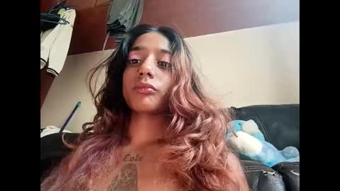 Perky baby online show from 8, 4, 2026