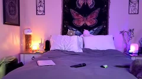 Indigo Bay online show from 26, 4, 2026