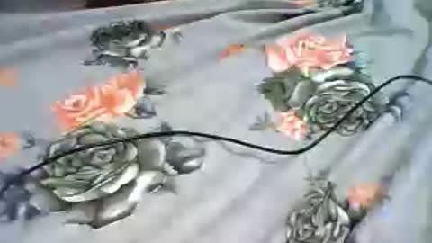 Snapshot of inejhtin chatting on 24, 6, 2026 inejhtin online show from 24, 6, 2026