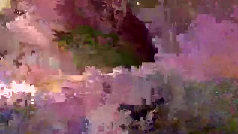 inhertube15 online show from 28, 12, 2024