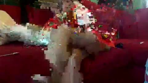 Snapshot of inmirrey chatting on 8, 5, 2026 INMIRREY online show from 8, 5, 2026