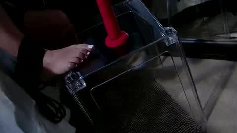 InsatiableCpl333 online show from 20, 1, 2025