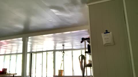 IntoTheWoodsWeGo online show from 20, 10, 2025