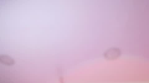 Iirs online show from 18, 2, 2026