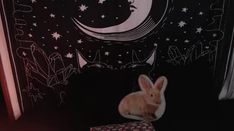 Snapshot of isabella__dark chatting on 23, 1, 2025 online show from 23, 1, 2025