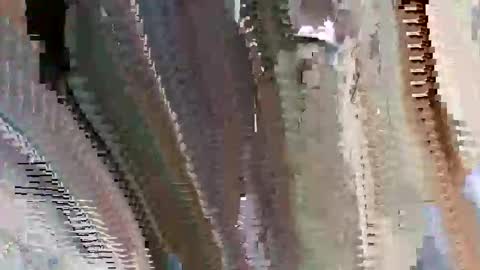 islandbey242 online show from 2, 6, 2026