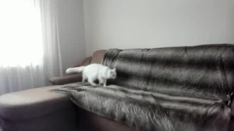 Issabelle online show from 9, 2, 2025