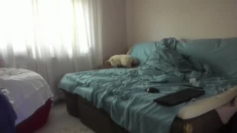 Issabelle online show from 20, 10, 2025