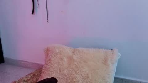 Issafoxx online show from 13, 4, 2026