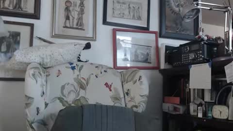 ImYourBitch online show from 17, 5, 2026