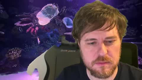 Snapshot of itpain chatting on 4, 12, 2025 pain online show from 4, 12, 2025