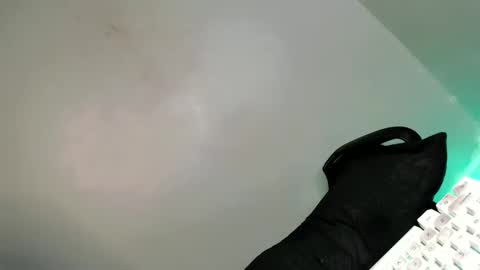 Bella online show from 21, 2, 2025