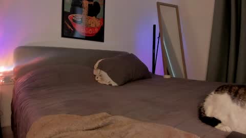 Isabella online show from 5, 4, 2026