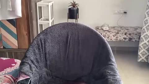 Raje online show from 18, 10, 2025