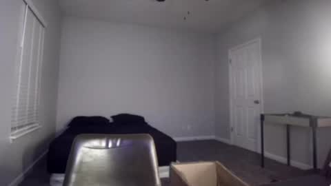 TARZAN online show from 15, 12, 2024