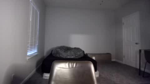 TARZAN online show from 16, 12, 2024