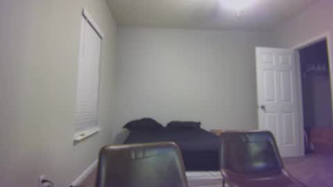 TARZAN online show from 24, 12, 2024