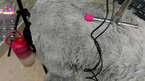 Ivis  online show from 19, 4, 2026