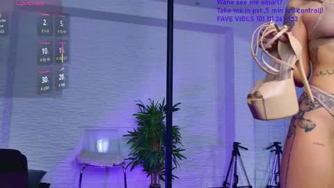 Celine online show from 30, 11, 2025