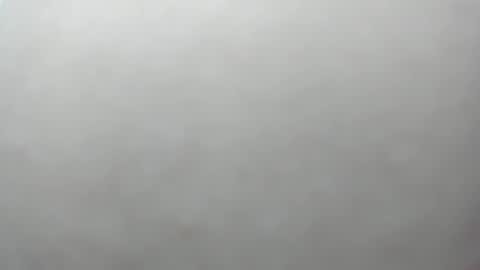 izelevans online show from 27, 11, 2025