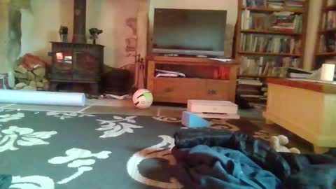 J4ckcock online show from 16, 11, 2025