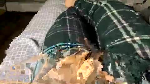 Snapshot of jaaltar chatting on 3, 12, 2025 Jaaltar online show from 3, 12, 2025