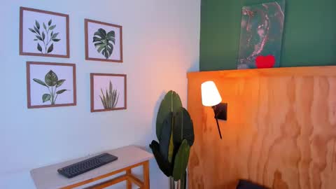 David online show from 26, 11, 2025