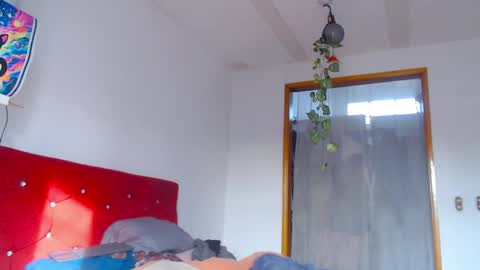 Laick online show from 8, 4, 2026