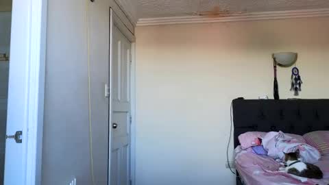 Jack online show from 1, 4, 2026