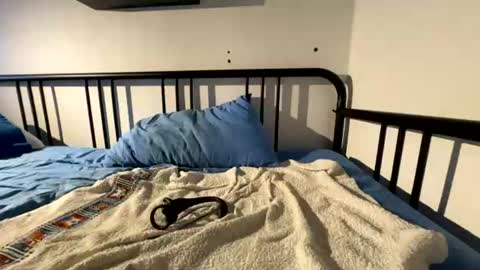 jackedd332481 online show from 18, 7, 2026