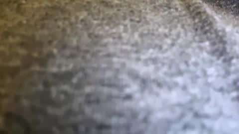 jackjackerman online show from 15, 4, 2026