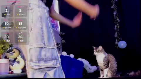 Jackson online show from 13, 2, 2025