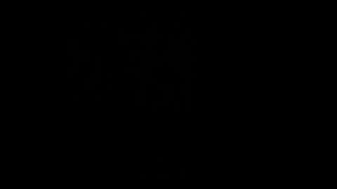 Lovi online show from 8, 1, 2026