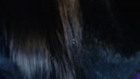 Snapshot of jalea_real_69 chatting on 19, 7, 2026 jalea_real_69 online show from 19, 7, 2026