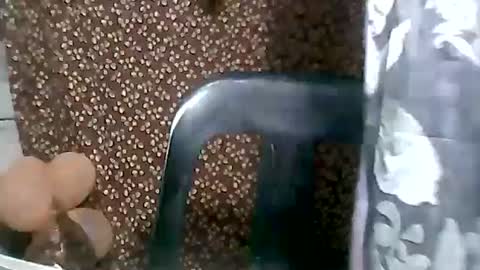 Snapshot of jaliah15 chatting on 5, 2, 2025 jaliah15 online show from 5, 2, 2025