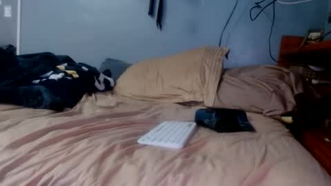 what you in too online show from 7, 4, 2026