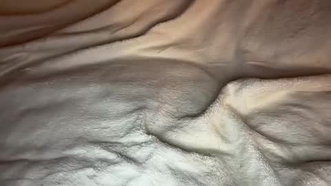 jamesdean0101 online show from 14, 1, 2026