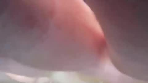 Snapshot of jamesmckendree chatting on 4, 12, 2024 jamesmckendree online show from 4, 12, 2024