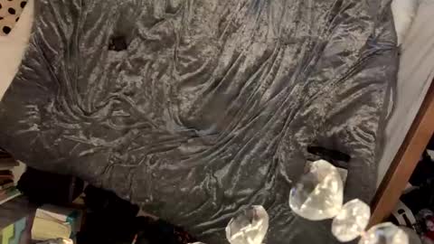 janetrans84 online show from 21, 1, 2025