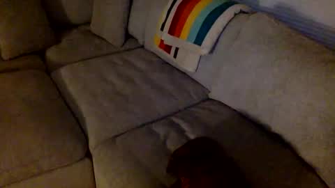 janicepepper online show from 21, 5, 2026