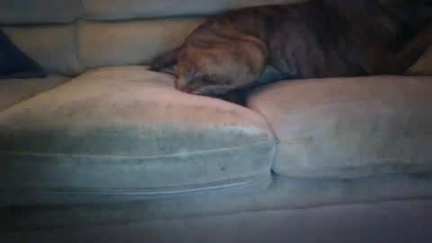 Snapshot of janks1963 chatting on 21, 9, 2025 janks1963 online show from 21, 9, 2025