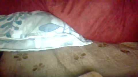 Janne online show from 25, 11, 2025