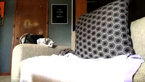 Snapshot of jawssharkparty chatting on 10, 9, 2025 Jaws  online show from 10, 9, 2025