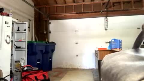 Snapshot of jawssharkparty chatting on 12, 9, 2025 Jaws  online show from 12, 9, 2025