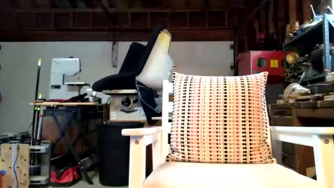 Snapshot of jawssharkparty chatting on 14, 10, 2025 Jaws  online show from 14, 10, 2025