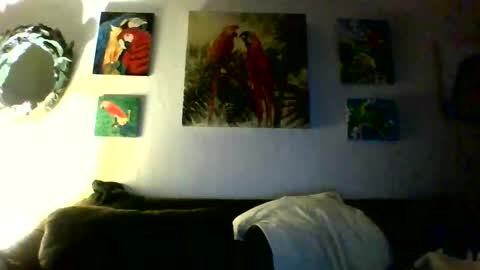 jay-jay1475 online show from 31, 1, 2026