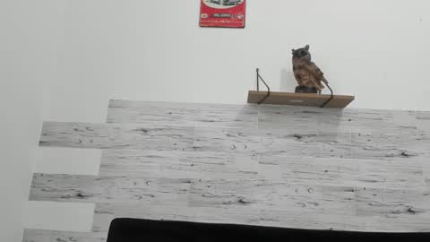 Jaycreedd online show from 18, 2, 2025