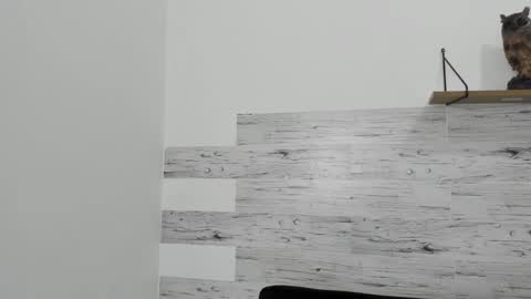 Jaycreedd online show from 22, 2, 2025