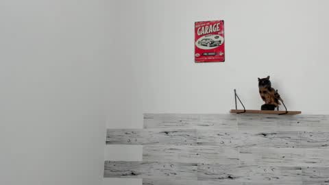 Jaycreedd online show from 7, 3, 2025